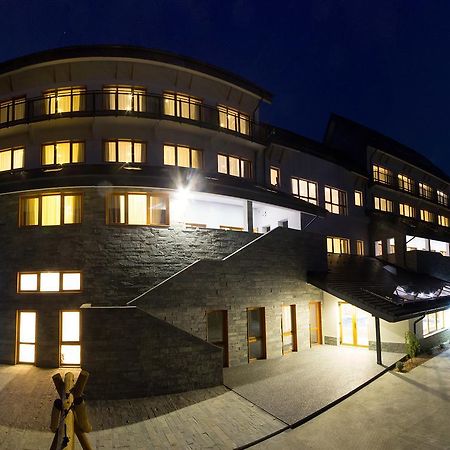 Pensiunea Art 1000 Lunca Visagului Eksteriør bilde